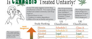 Is Cannabis Treated Unfairly Infographic