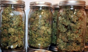 Historic Medical Marijuana Bill Gaining Serious Momentum