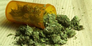 New York Begins to Accept Medical Marijuana Applications