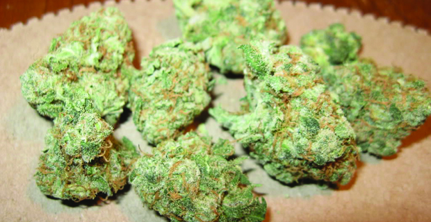 Colorado Sees 20% Increase In Youth Marijuana Use