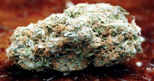 Paranoid Stoners Driving High With 20lbs of Weed Call 911 On Themselves