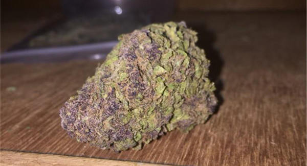 PurpleUrkle