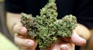 3 Surprising Facts About Marijuana