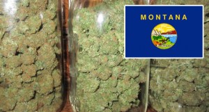 Ballot Proposal Would Legalize Marijuana in Montana
