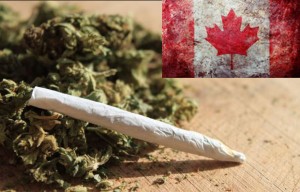 Canadian Court Rules All Forms of Medical Marijuana Are Legal