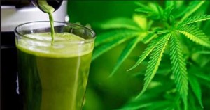 Crazy Health Benefits of Juicing Raw Cannabis