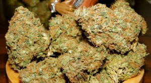 Pennsylvania Lawmakers Introduce New Medical Marijuana Bill