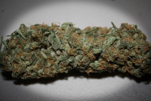 8 Easy Ways To Tell If Your Weed Is High Quality