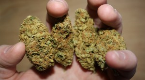 Recreational Marijuana Law Takes Effect in Massachusetts