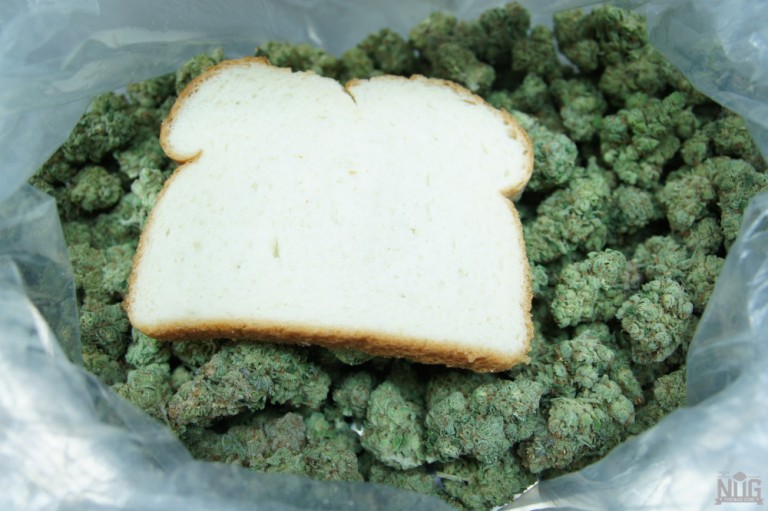 5 Ways Re-Moisten Dried Out Weed | Marijuana World News