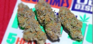 Strain Of The Day: Fruit Loops