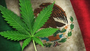 Mexico’s Legislature Overwhelmingly Approves Medical Marijuana Bill