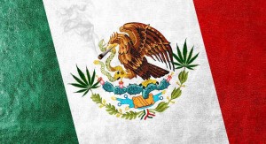 Mexico Legalizes Medical Marijuana