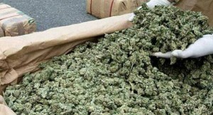 Couple Finds 65 Pounds of Marijuana in Amazon Order