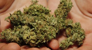 Willie Nelson Planning to Open Marijuana Dispensaries Across United States