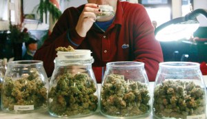 Dozens of Medical Marijuana Dispensaries to be Shut Down in Seattle