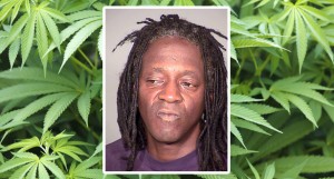Flavor Flav Arrested For Marijuana Possession in Las Vegas
