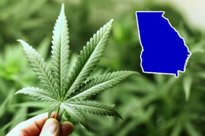 Georgia Unveils Medical Marijuana Registry