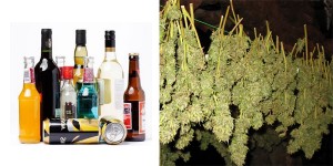 Which is Worse, Alcohol or Pot? A Doctor Chimes In