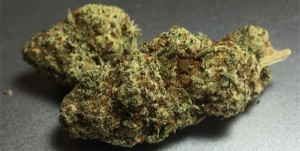 The 6 Best Indica Strains On The Planet
