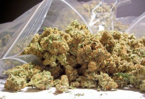 9 States Likely to Legalize Marijuana Last