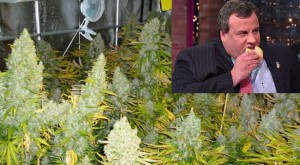 Chris Christie Would Shut Down Marijuana In Legal States
