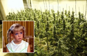 Cindy Brady From The Brady Bunch Admits To Illegally Growing Weed