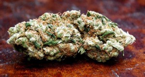 Colorado Rejects Medical Marijuana For PTSD