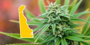 Delaware House Decriminalizes Marijuana Possession