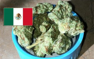 Mexico President Pena Nieto Proposes Relaxed Marijuana Laws