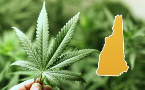 New Hampshire Approves Medical Marijuana Treatment Centers