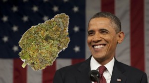 Obama Administration Clears The Way For Marijuana Research