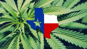 Texas Medical Marijuana Bill Heads to Governor Abbott