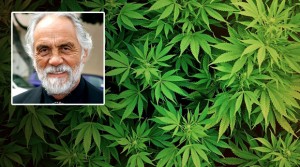 Tommy Chong Diagnosed With Cancer