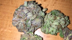2,000 Pounds of Marijuana Seized in Georgia
