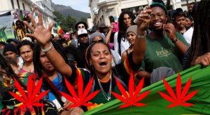 South African Court OKs Marijuana for Home Use