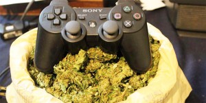 The 8 Best Things To Combine With Weed