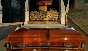 US Border-Patrol Agents Bust 67 Pounds Of Marijuana In Coffin