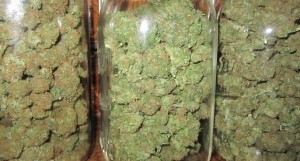 BREAKING NEWS: Illinois Poised to Legalize Recreational Marijuana