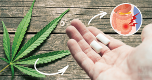NEW THC-Infused Gum Provides Alternate Pain Control Option