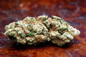 Bill Introduced to Legalize Medical Marijuana in Kentucky